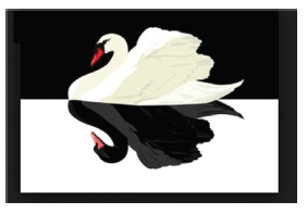 undskylde Scully Før The black swan image in medicine – MEDICINA BUENOS AIRES