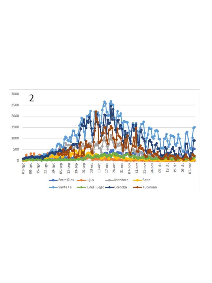 EVOLUCIÓN DEL CORONAVIRUS EN ARGENTINA. 5/1/2021 ...